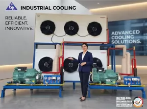 Optimal Cold Room & Freezer Temperatures: A Guide for Food Storage